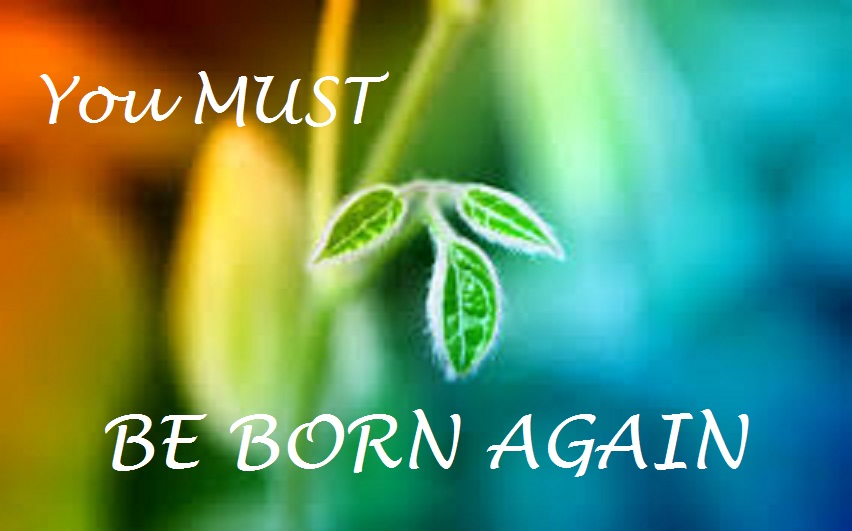 You Must Be Born Again | Pastor Larry Dela Cruz